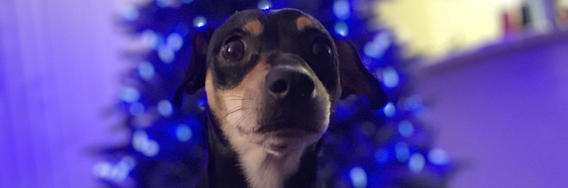 Aaron Shank 🖍✏️📝📘 banner