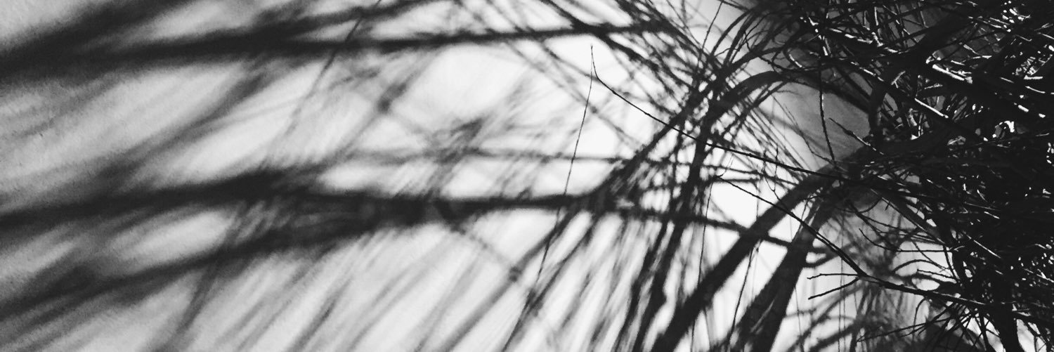 EvaKodouskova's profile banner image