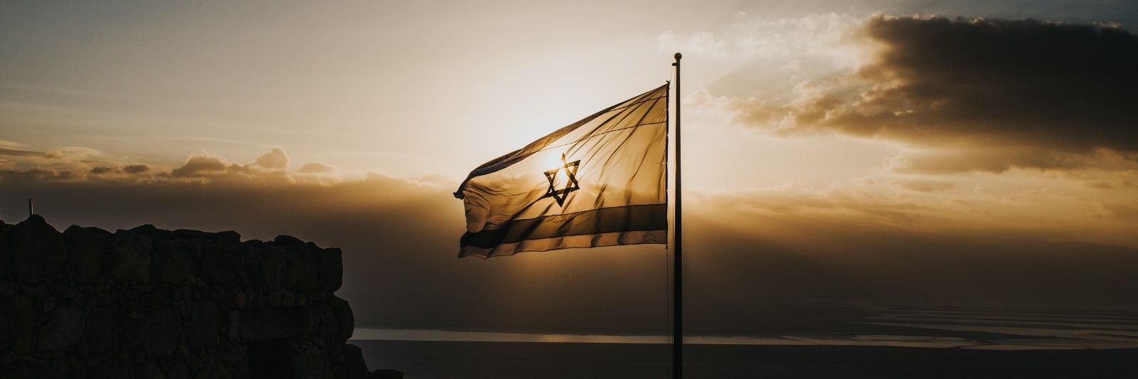 Amb. Zvi A. Vapni banner