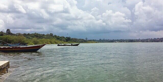 Michael Lubandi banner