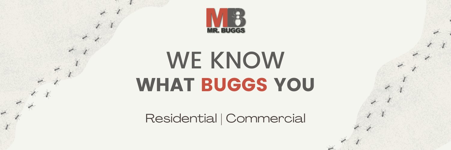 MrBuggs1's profile banner image