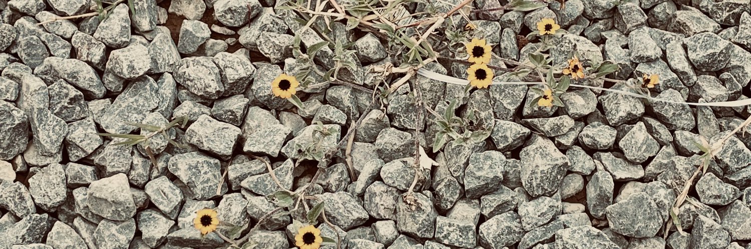 jeni_olvera's profile banner image