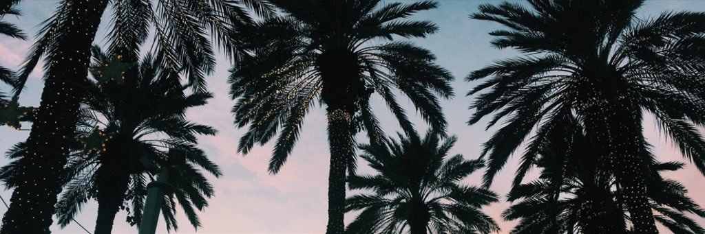 elle_donofrio's profile banner image