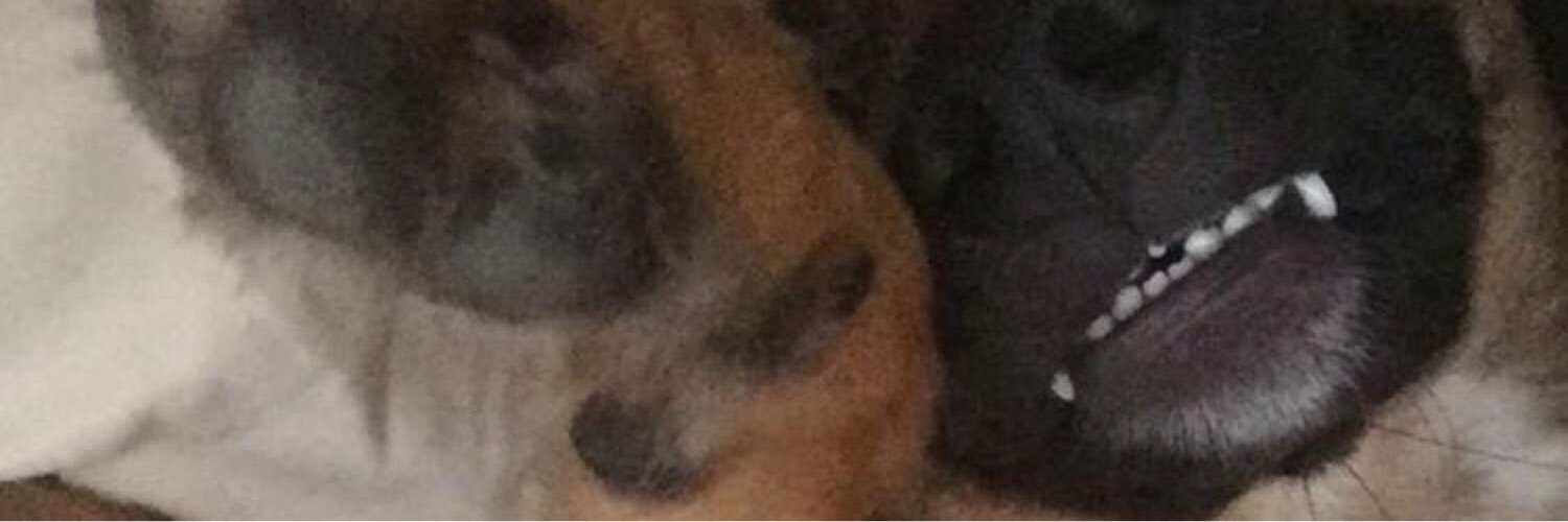 farley_3's profile banner image