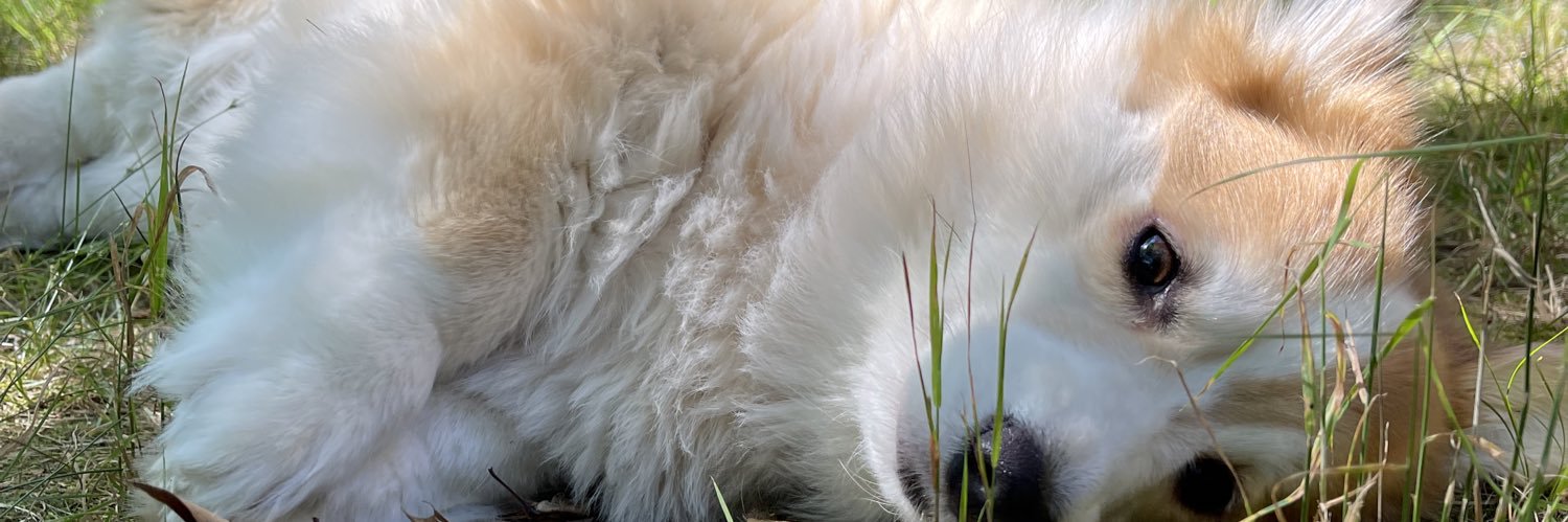 brittneyslatts's profile banner image