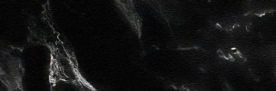 piscescs's profile banner image