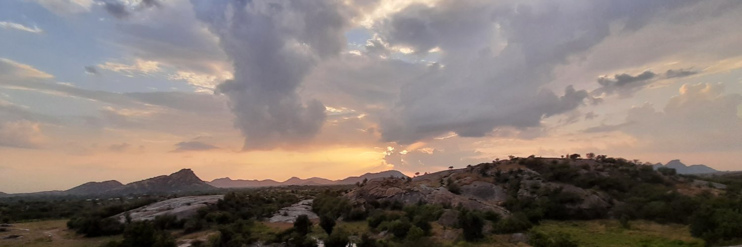 Simona Terron banner