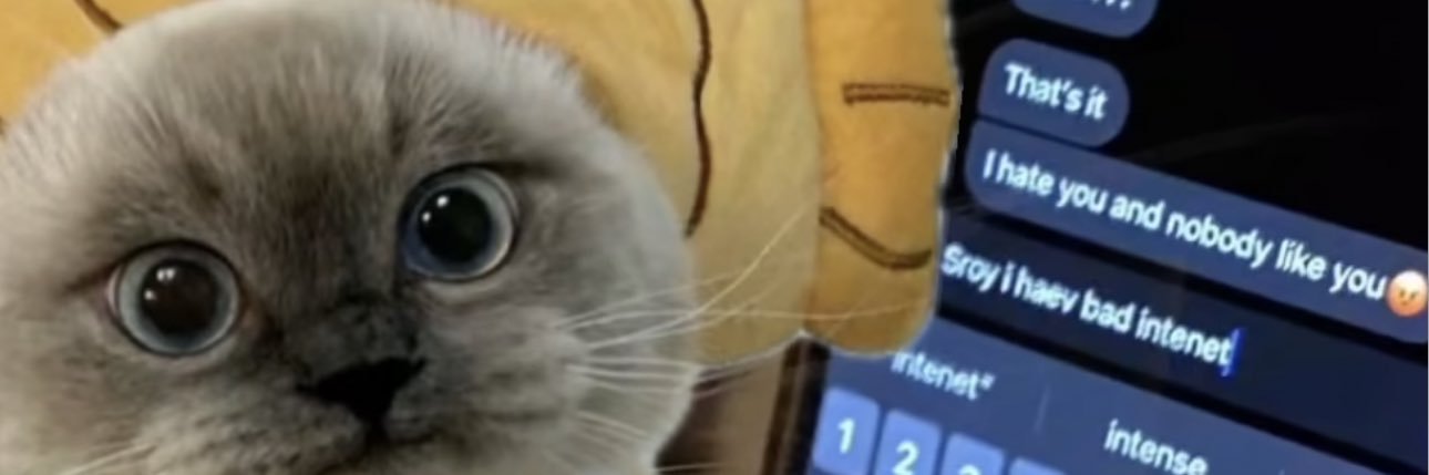 bryani10's profile banner image