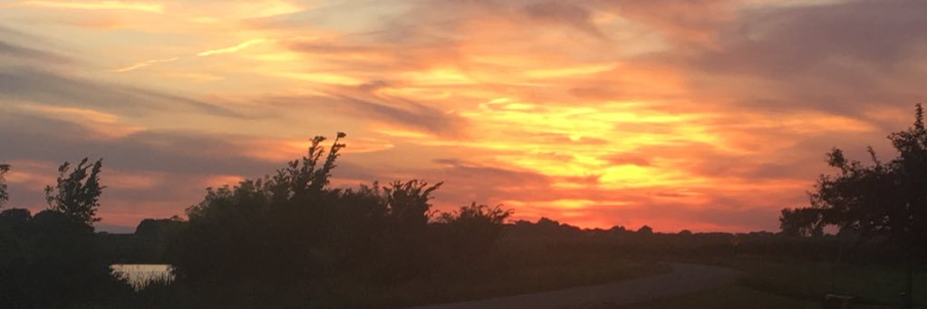 toriapeach's profile banner image