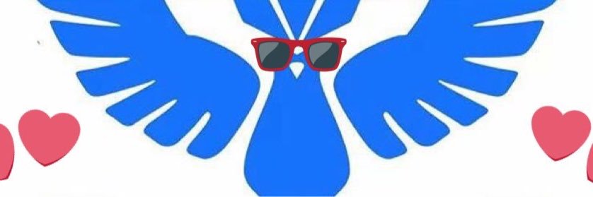 Team Mystic banner