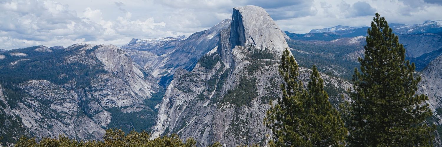 Chase 🌲 banner