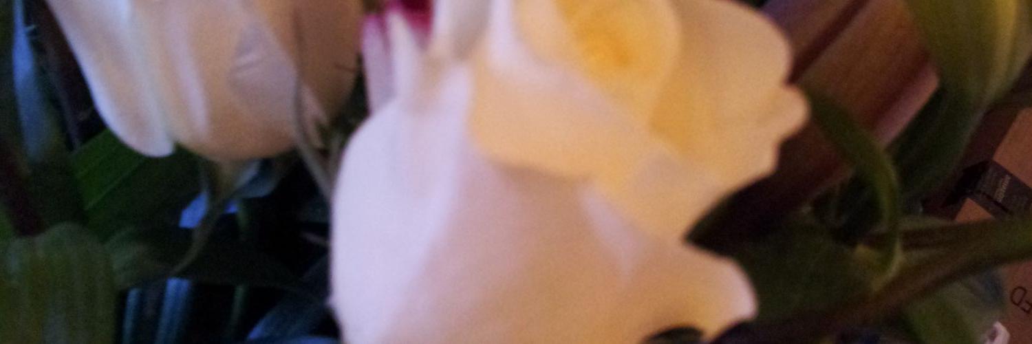 bcoulter19's profile banner image