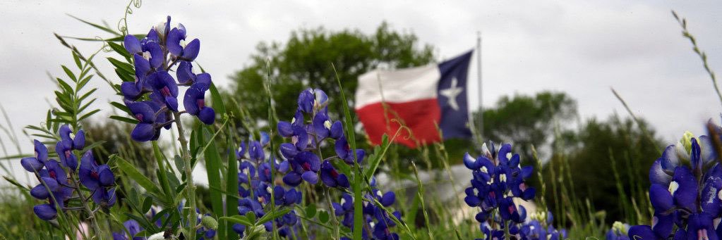 Derek Trulious banner