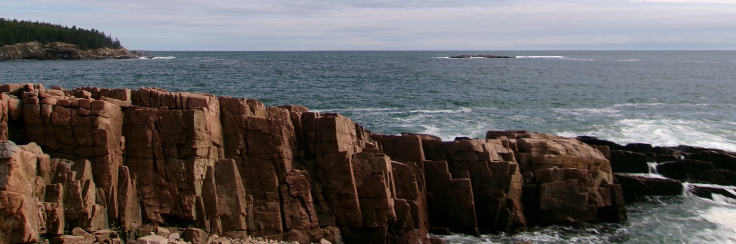 danidonovann's profile banner image