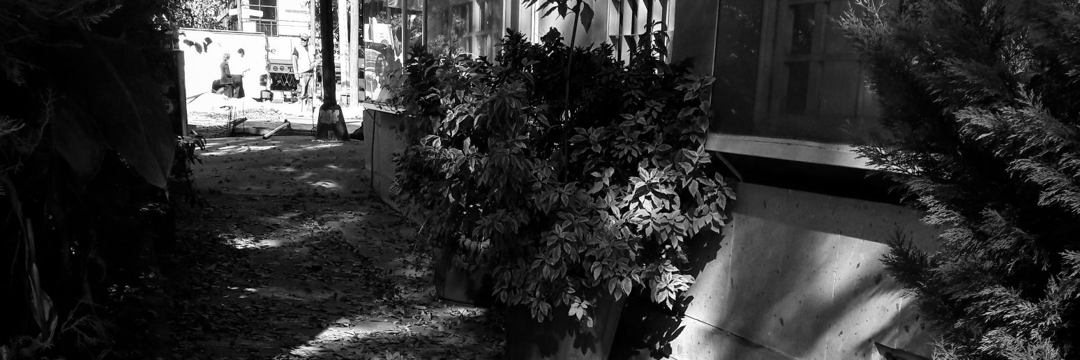 alesuk's profile banner image