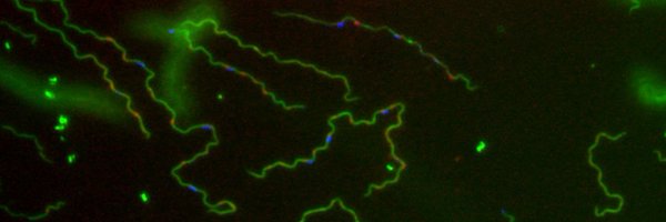 ackrusen Profile Banner