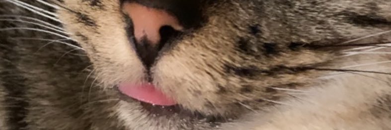 jcushj's profile banner image