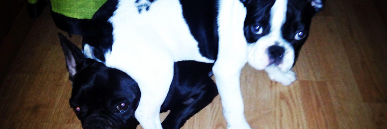 Ivan Guzman Garcia banner