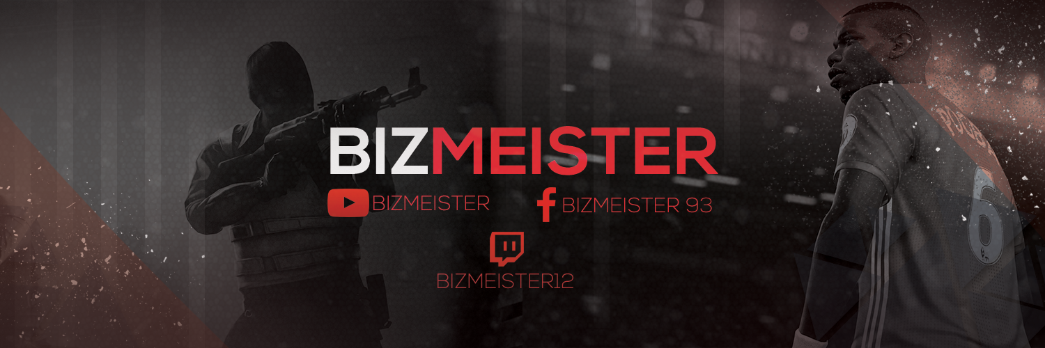 BizMeister banner