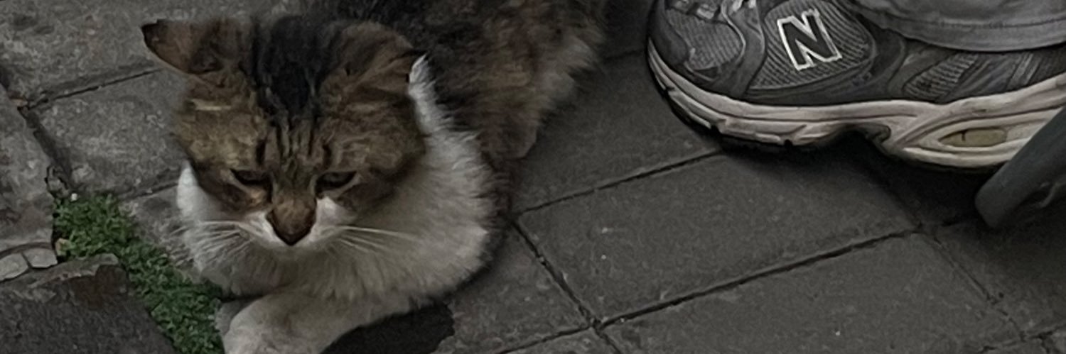bumay_e's profile banner image