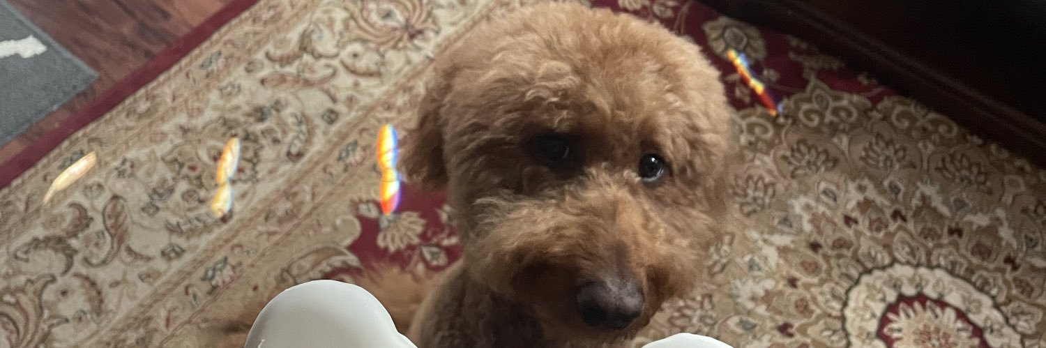 itskimyoooo's profile banner image
