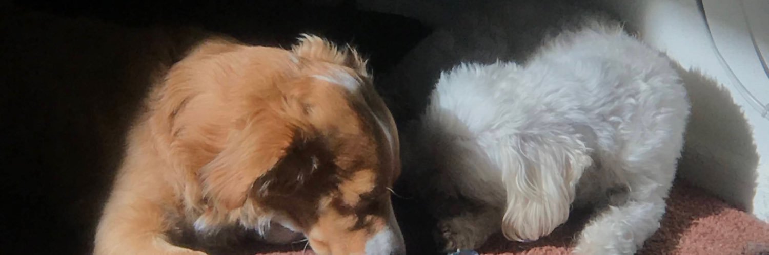 jennabelaaa's profile banner image