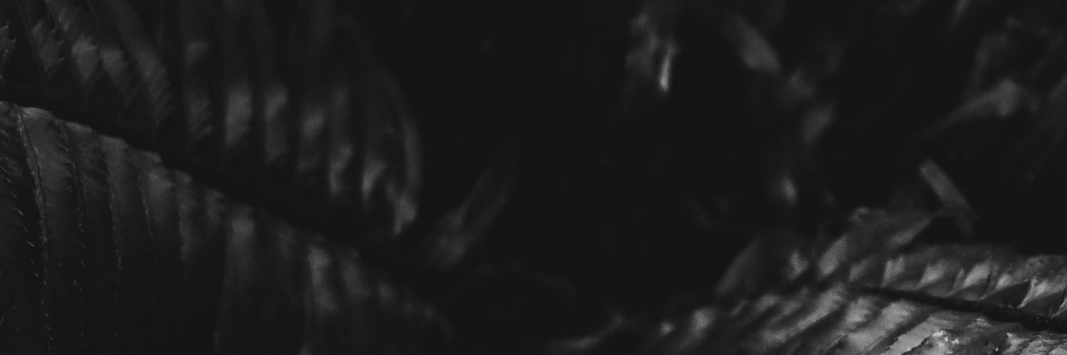 _imakkey's profile banner image