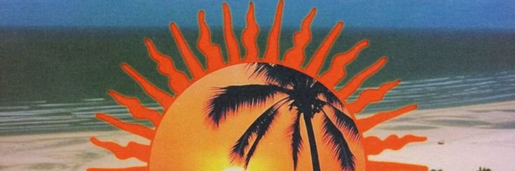 torischerer's profile banner image