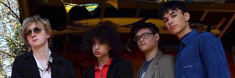 The Keep Cats banner