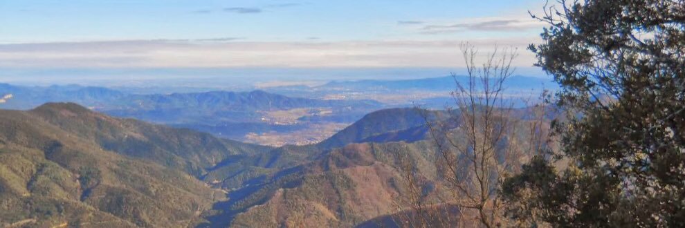 PDECatSelva's profile banner image