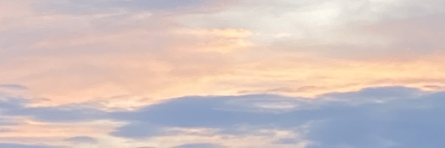 moonlightrosi's profile banner image