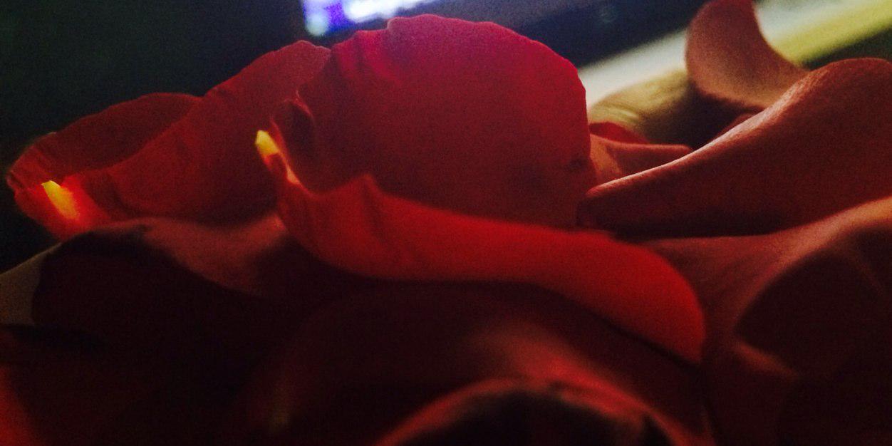 omferas8's profile banner image
