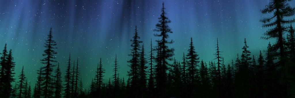 AshleyReindel's profile banner image