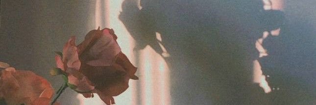 kyliemirandaaa's profile banner image