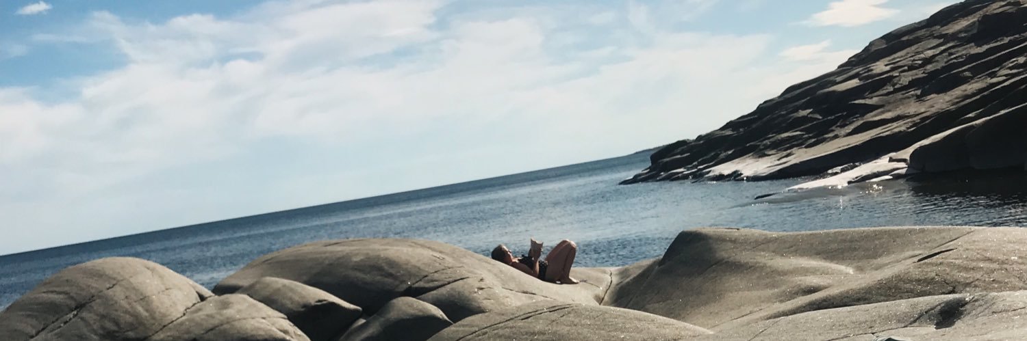 elinanderssonss's profile banner image