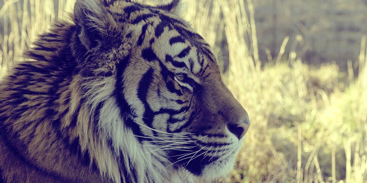 Rahuld0110's profile banner image