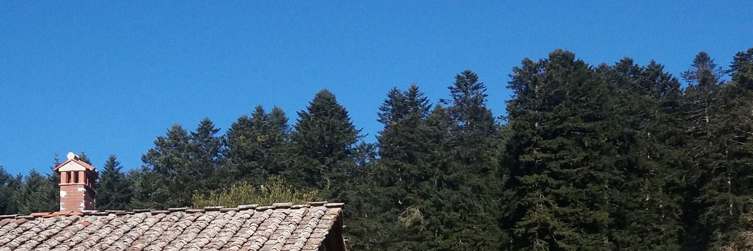 Mariagrazia's banner