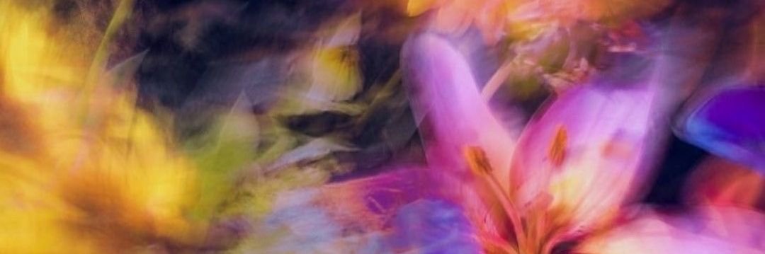 lopez_dariana's profile banner image