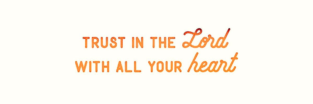 Amanda Cheney banner