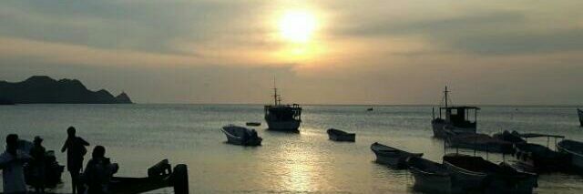 yavila56's profile banner image