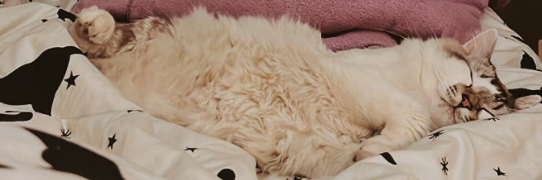 vikkmolinaa's profile banner image