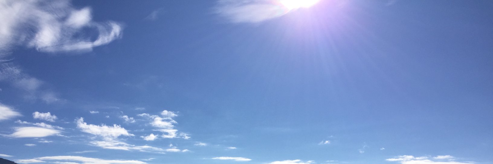 damnflavs's profile banner image