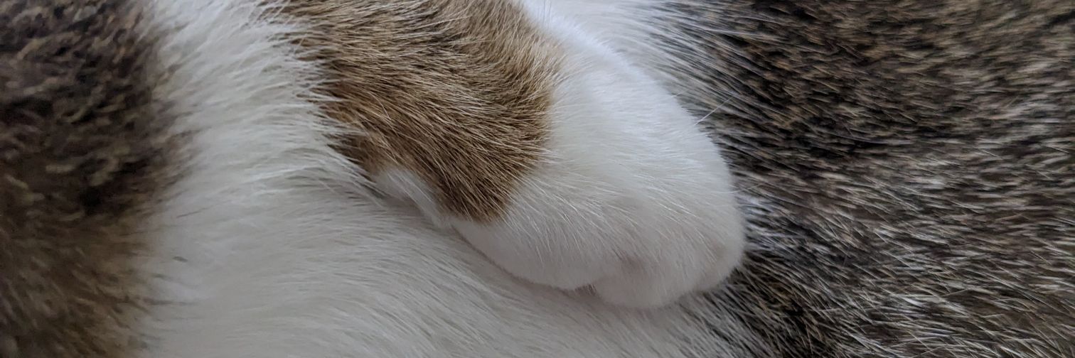wrystr's profile banner image