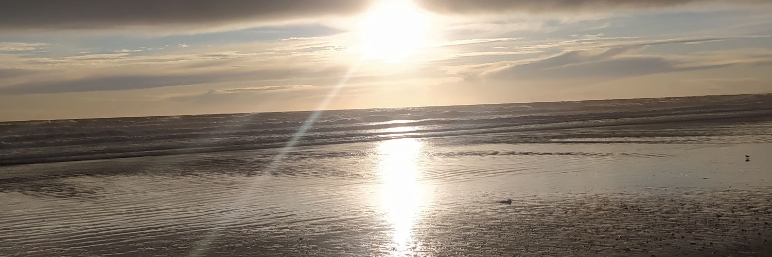 Mfiguevaz's profile banner image