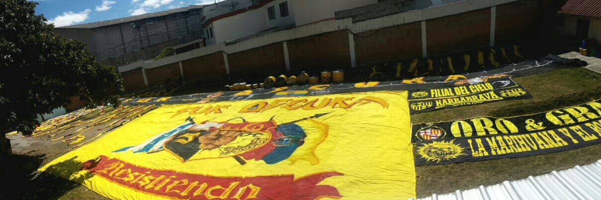 pajarobsc's profile banner image