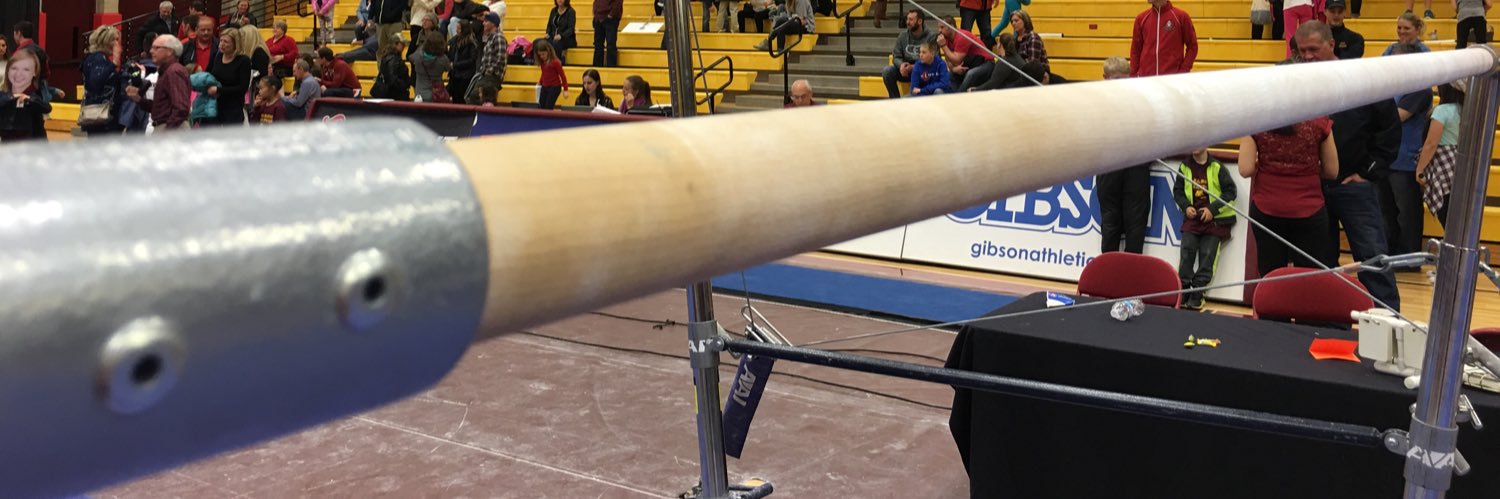 GYMNALYSIS.NET banner