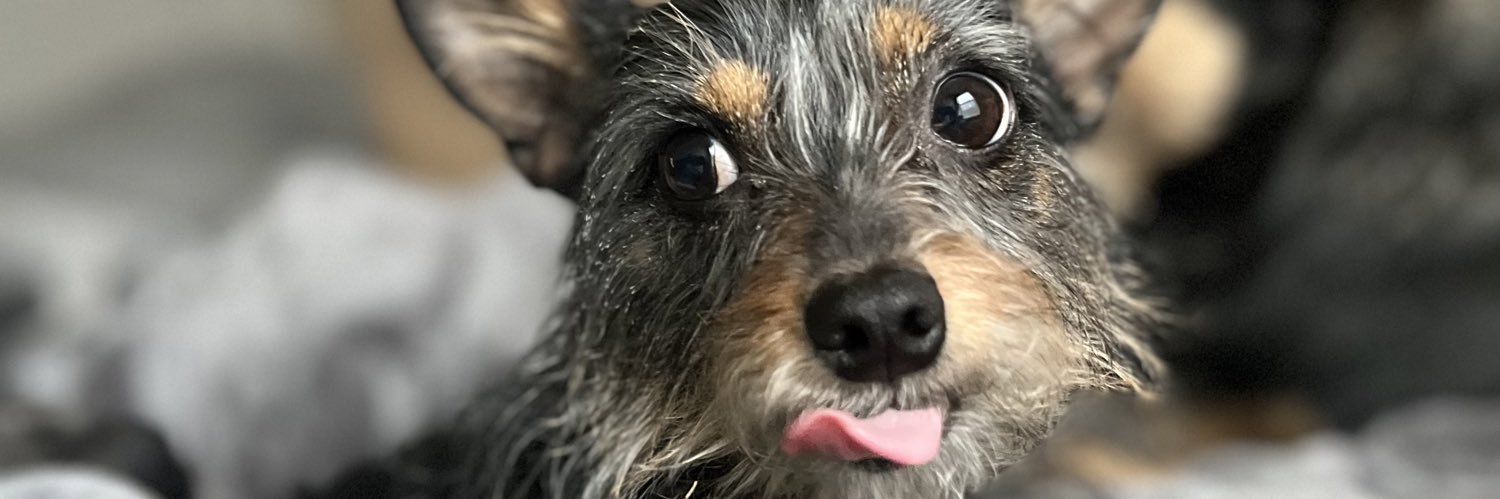 notpailuht's profile banner image