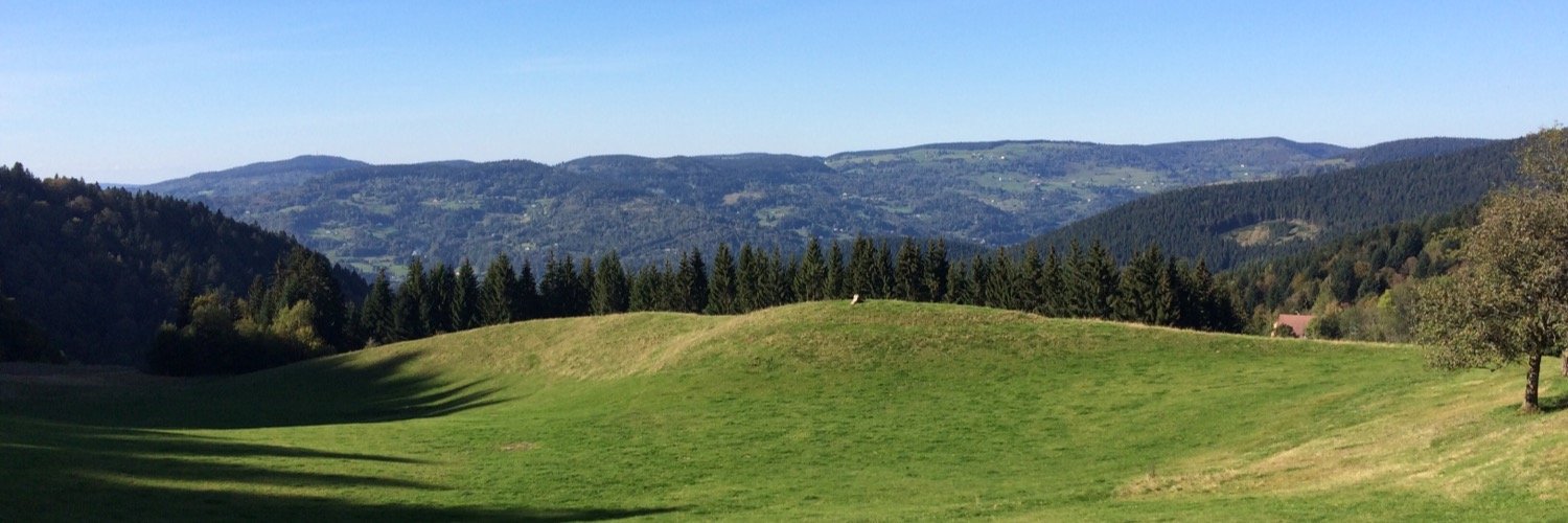 Benoitkoch's profile banner image