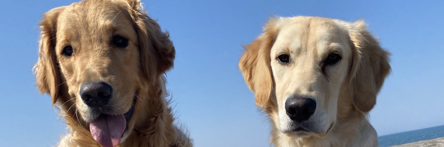 kelcyhorning's profile banner image