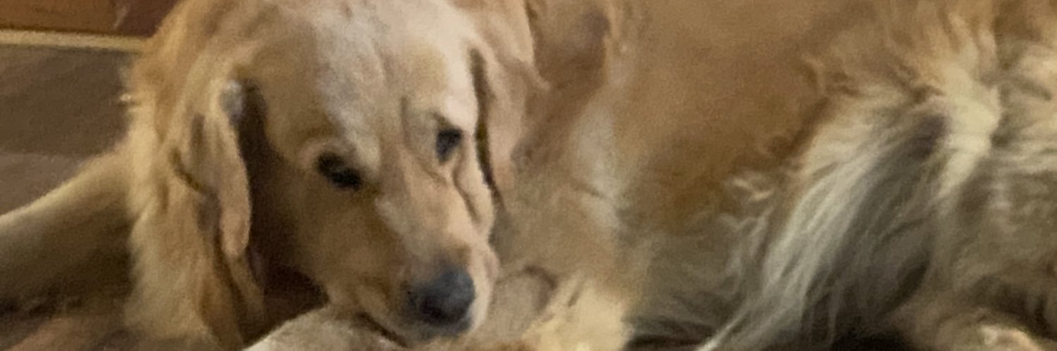Puroos's profile banner image